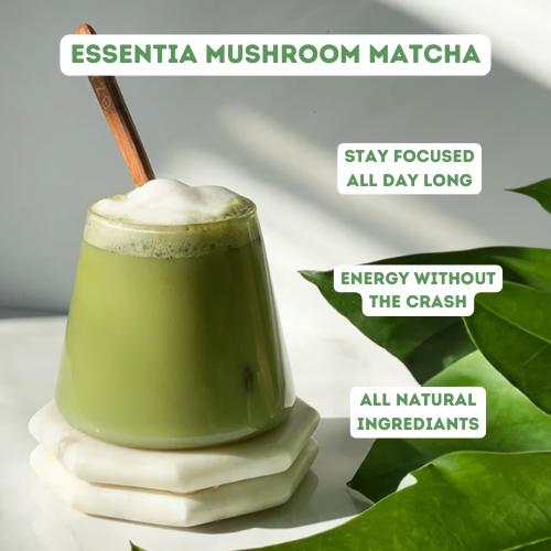 Essentia Mushroom Matcha Powder