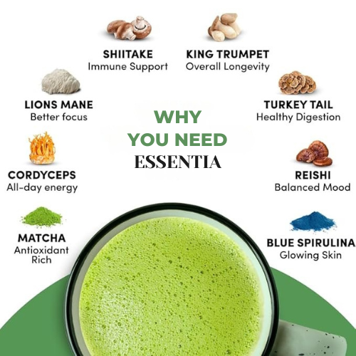 Essentia Mushroom Matcha Powder